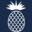 555centralparkavenue352.com favicon